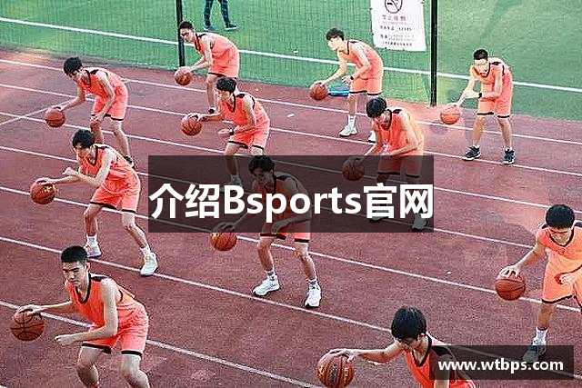 介绍Bsports官网